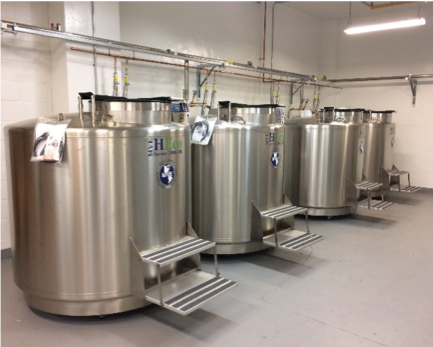 Liquid nitrogen custodial storage