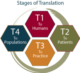 Infographic showing stages of translation