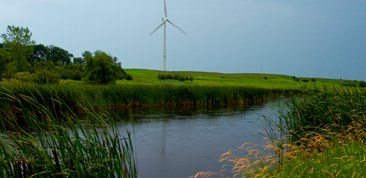 A rural landscape with a windmill in the background, and tall grass and water in the foreground