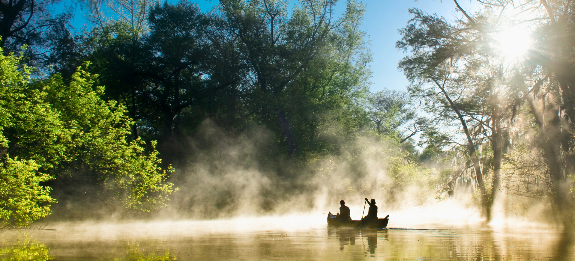 couple boating through mist on a wooded lake