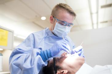 Dental Therapist Treats Patient