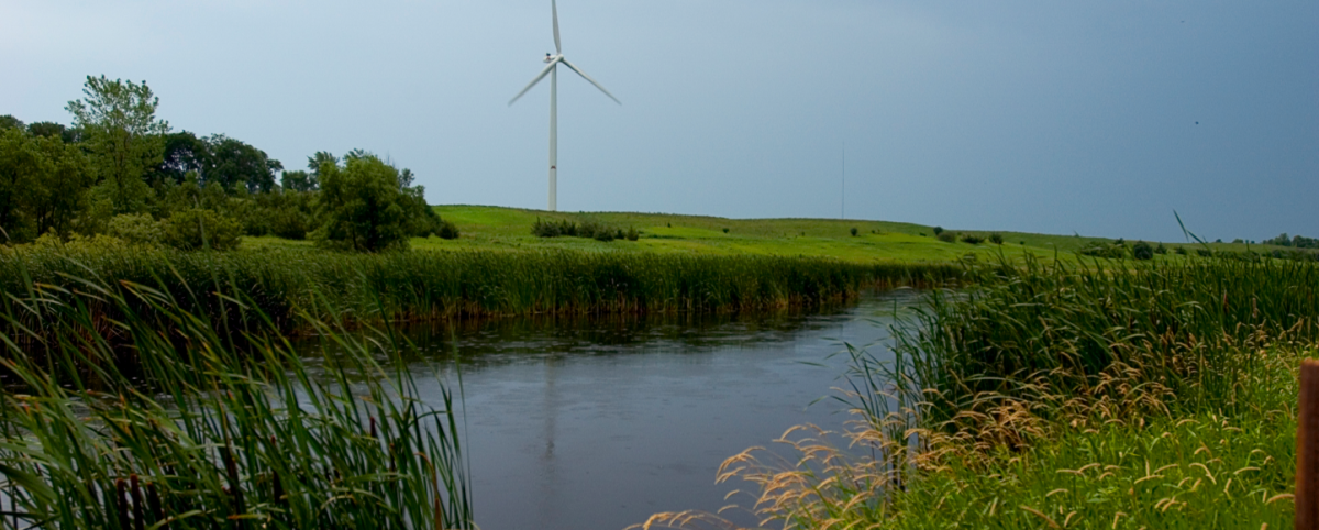 A pond surrounded by tall grass and trees, with a wind turbine seen in the distance