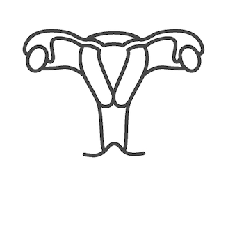 female reproductive system icon